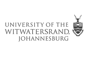 wits